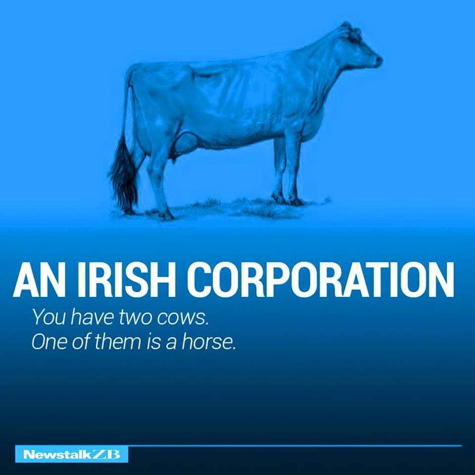 AN IRISH CORPORATION