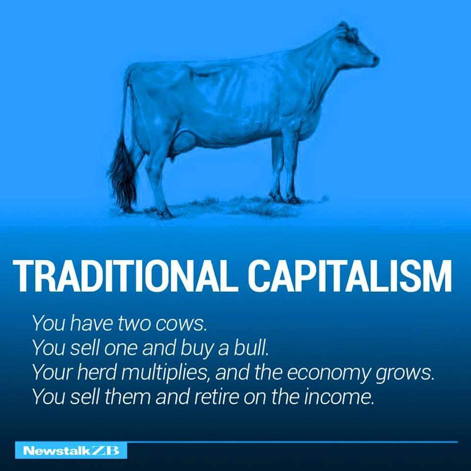 TRADITIONAL CAPITALISM