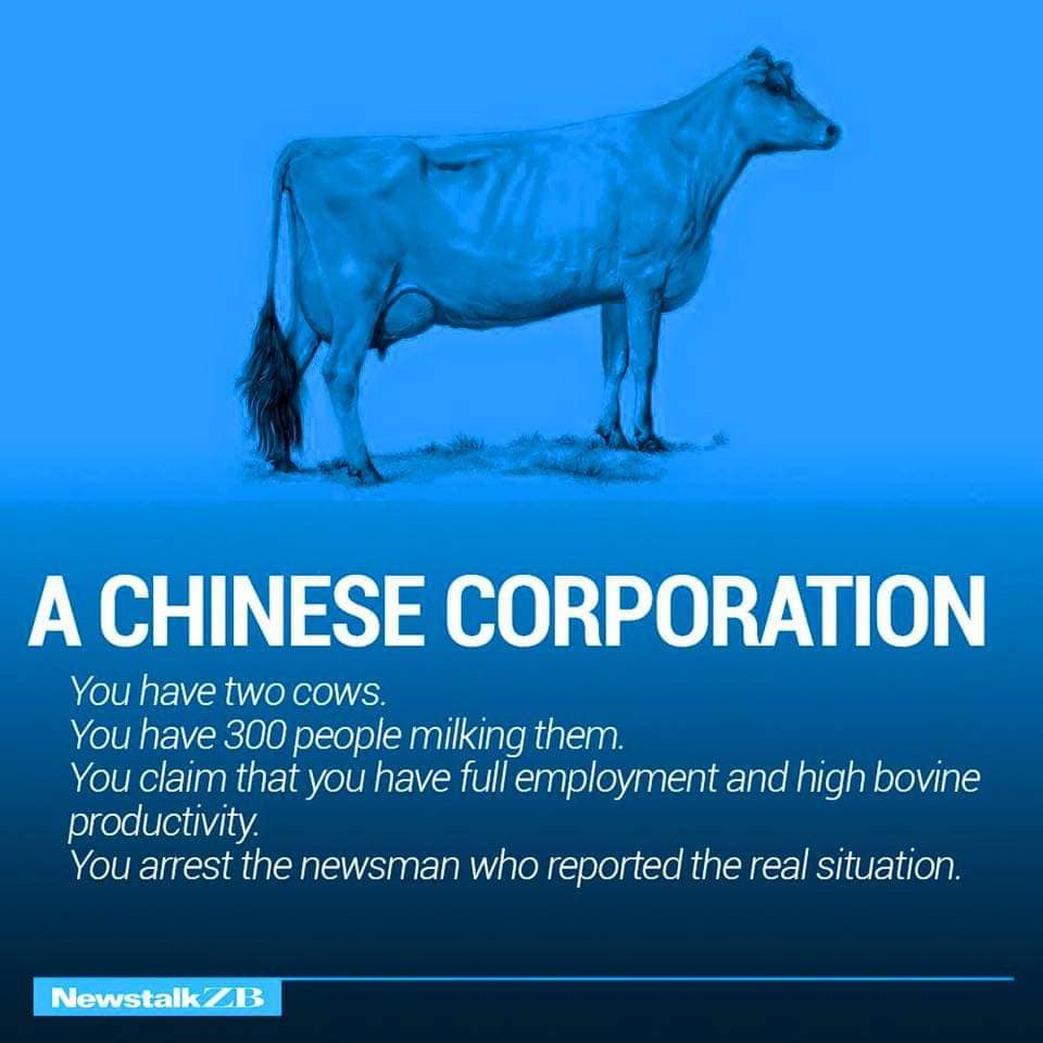 A CHINESE CORPORATION